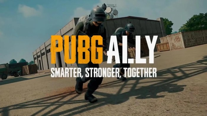 PUBG Ally