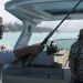 GTA 6 Menampilkan 170 Satwa Liar Termasuk Hewan Baru yang Belum Pernah Ada Sebelumnya